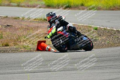 media/May-10-2024-2WTD (Fri) [[c88d7990af]]/Group B/Session 3-Turn 4 and 6/